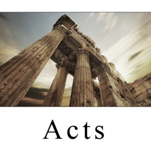 Acts Study Guide